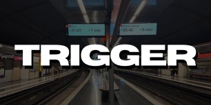 Trigger